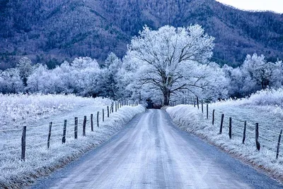 Америка зимой фото фотографии