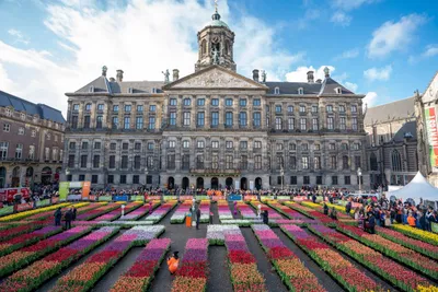 Традиционные Старые Здания И Тюльпаны В Амстердаме Нидерланды — стоковые  фотографии и другие картинки Амстердам - iStock