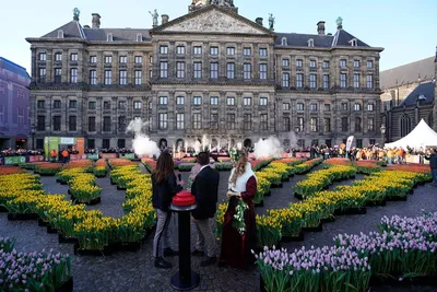 Фестиваль тюльпанов в Нидерландах: Амстердам и королевский парк цветов  Кёкенхоф + день в Вене за 1430 BYN с вылетом из Минска в апреле - Вандруй  Разумна