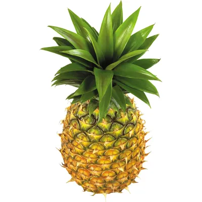 Привлекательная картинка ананаса на ваш выбор