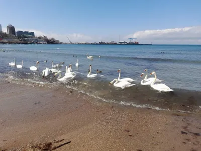 А в Краснодарском крае уже весна..