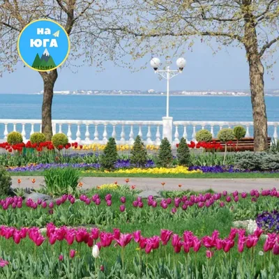 Курорты Анапы: опасное наказание или бюджетный отдых | 360°