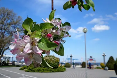 Анапа в апреле | Путешествия на море | Дзен