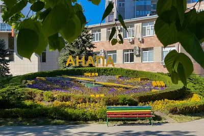 Курорт «Новая Анапа» дополнительно привлечет на Кубань 5 млн туристов | ИА  Красная Весна