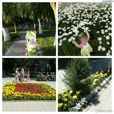 Цветущая Анапа, которой можно любоваться ежедневно: фотопрогулки по городу
