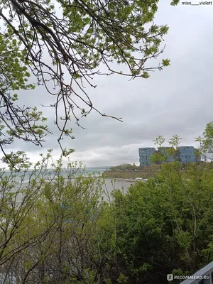 Власти запустили городское приложение «Моя Анапа»