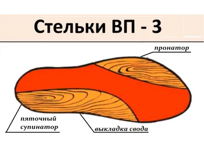 vicco.kg - Чем анатомическая стелька с эффектом памяти лучше обычной?🤔 •  Обувь должна быть не только красивой, но и способствовать правильному  развитию стопы. Помогает в этом стелька. • Какие функции выполняет  анатомическая