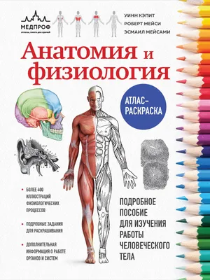 МЕДПРОФ / Анатомия человека: компактный атлас-раскраска Эксмо 4412573  купить за 369 ₽ в интернет-магазине Wildberries