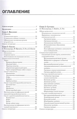 Фото, картинки и изображения анатомии кошки