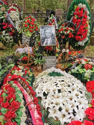 Фото Андрея Краско в форматах png, jpg, webp: скачивайте бесплатно