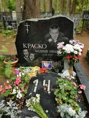 Андрей Краско - обои для вашего рабочего стола
