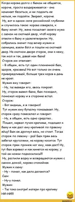 анекдоты / смешные картинки и другие приколы: комиксы, гиф анимация, видео,  лучший интеллектуальный юмор.