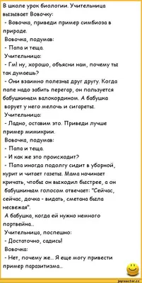 Прикольные анекдоты и цитаты за сегодня | Mixnews