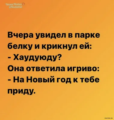 Юмор от подписчиков - смешные картинки и анекдоты | Бросаем пить вместе |  Дзен