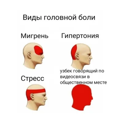 Короткие смешные еврейские анекдоты, а также анекдоты про мужа и жену, про  школу, студентов и логику - YouTube