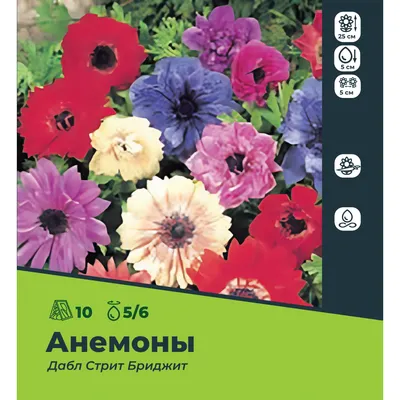 Луковицы Анемона ЭкоВыбор купить по выгодной цене в интернет-магазине OZON  (1150263033)