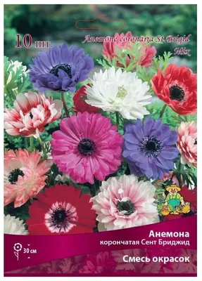 Купить анемона корончатая сент бриджит (anemone coronaria st. brigid  mixed), смесь 20 шт по цене 450 руб. в интернет магазине \"Первые Семена\"