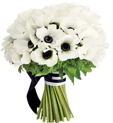 Монобукет из белых анемонов купить в Курске | заказать живые цветы с  доставкой на дом или самовывоз
