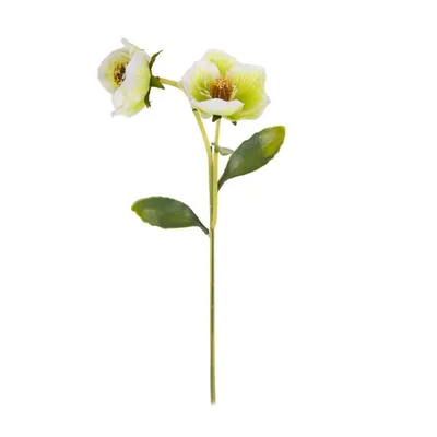 Искусственные белые анемоны, 10 шт., Натуральные Искусственные цветы для  свадебного стола | AliExpress