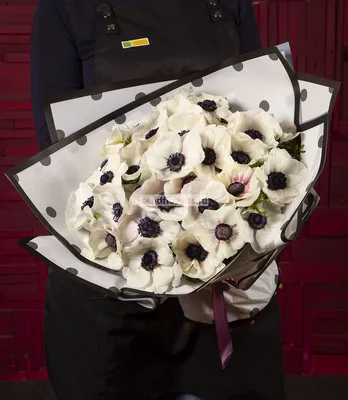 Цветок искусственный Анемоны белые 61см - купить в Пятигорске с доставкой в  интерьерном центре Жемчужина