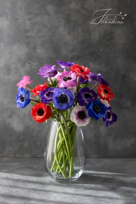Букет из ранункулюсов и анемон в вазе - заказать доставку цветов в Москве  от Leto Flowers