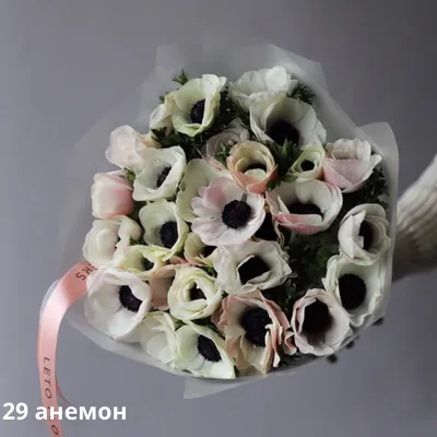 Анемоны фиолетовые - купить в Москве | Flowerna
