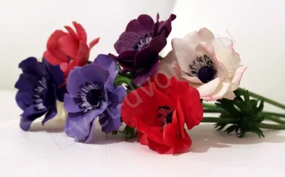 Цветок искусственный декоративный Анемоны, 49 см, фиолетовый, Y6-10364 в  Белгороде: цены, фото, отзывы - купить в интернет-магазине Порядок.ру