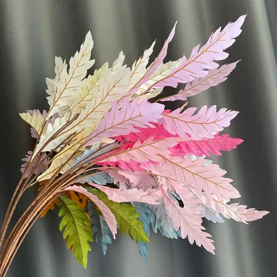 набор цветов анемоны ветви и листья эвкалипта на белом фоне акварель  ботаническая иллюстрация Иллюстрация штока - иллюстрации насчитывающей  природа, изолировано: 218949597