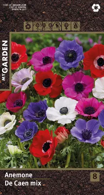 Анемона луковицы de Caen цвета микс Flora Elite 15 шт/уп в интернет  магазине Украфлора
