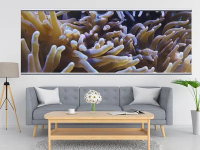 LinxOne картина на холсте \"Мурена и морские анемоны под\" / декор для дома /  интерьер / подарок / на стену / на кухню | AliExpress