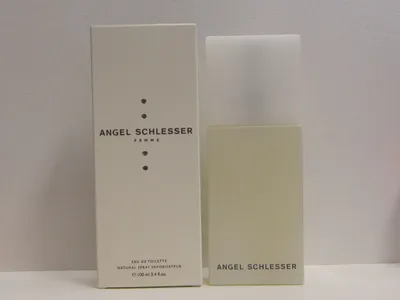 Angel Schlesser Homme by Angel Schlesser for Men EDT Spray 4.2 Oz –  FragranceOriginal