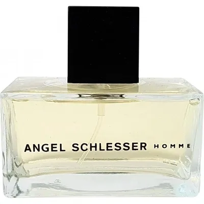 Angel Schlesser Homme By Angel Schlesser 4.17oz Eau De Toilette Spray For  Men | eBay