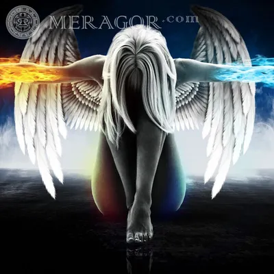 MERAGOR | Ангел красивая картинка без лица на аву