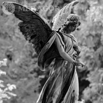 MERAGOR | Статуя ангела фото на аву