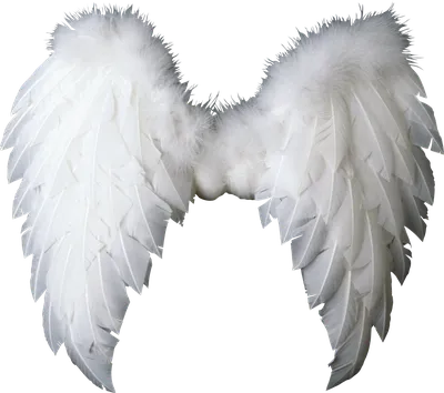Картинки крылья ангела - 75 фото