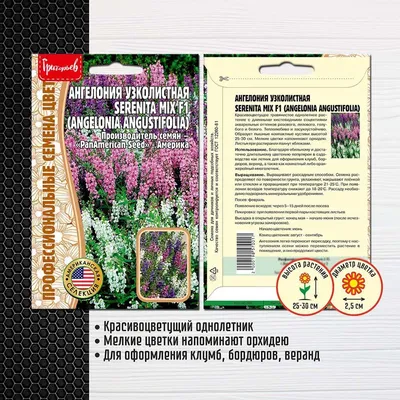 Ангелония 10.00грн - Купить Однолетник на Ботанике