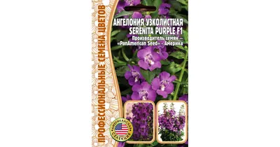 Ангелония | Angelonia angustifolia Serena PanAmerican (100/1000 seed):  продажа, цена в Днепропетровской области. Семена и клубни трав и цветов от  \"Інтернет магазин для фермера та агронома. Все для присадибної ділянки,  саду та