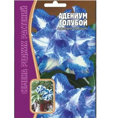 Цветочное поле Ангелония, Долина искусств Почеон и однодневный тур в  швейцарский тематический парк Эдельвейс из Сеула - Klook Россия