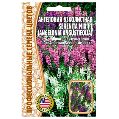 Ангелония узколистная Serenita Рurple F1 Редкие семена
