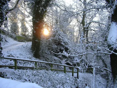 Зима в Англии - 66 фото