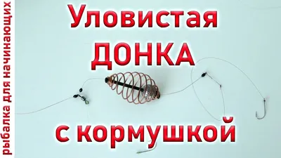 Любители спортивной рыбалки открыли сезон \"жидкой воды\" в Хабаровске -  PrimaMedia.ru