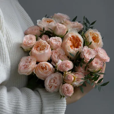 Английские кустовые розы фото фотографии