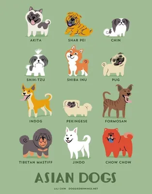 Породы собак на английском языке (72 фото) - картинки sobakovod.club