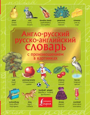 Книга Англо-русский. Русско-английский словарь с произношением в картинках  - купить книги по обучению и развитию детей в интернет-магазинах, цены на  Мегамаркет |