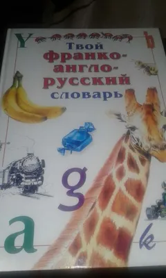 Англо-русский словарь с картинками для детей. Купить в Бресте — Книги  Ay.by. Лот 5034616444