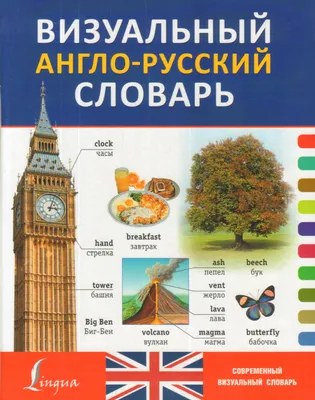 Английский словарь для малышей в картинках. 4-6 лет