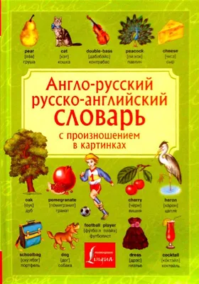 Книга Знаток Русско-Английский и Англо-Русский Словарь - отзывы покупателей  на маркетплейсе Мегамаркет | Артикул: 100022754414