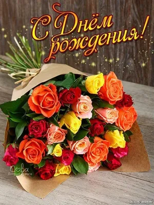 С ДНЕМ РОЖДЕНИЯ, АНЕЧКА😎 | ВКонтакте