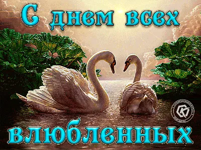 С днём св. Валентина! Я люблю тебя!