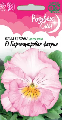 Анютины глазки. Картина акварелью купить в интернет-магазине Ярмарка  Мастеров по цене 1299 ₽ – SV35YBY | Картины, Санкт-Петербург - доставка по  России